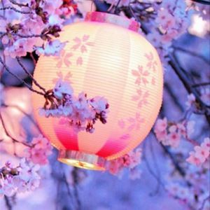 Meet your Posher, Envy89